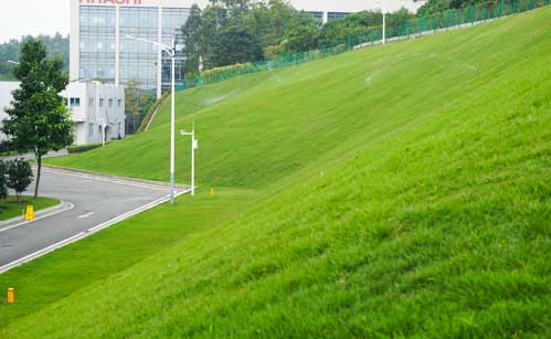 工廠綠化養(yǎng)護(hù)